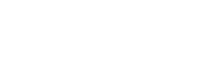 Lead Project Success